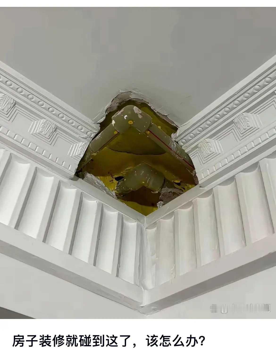 这🉑怎么办怎么办