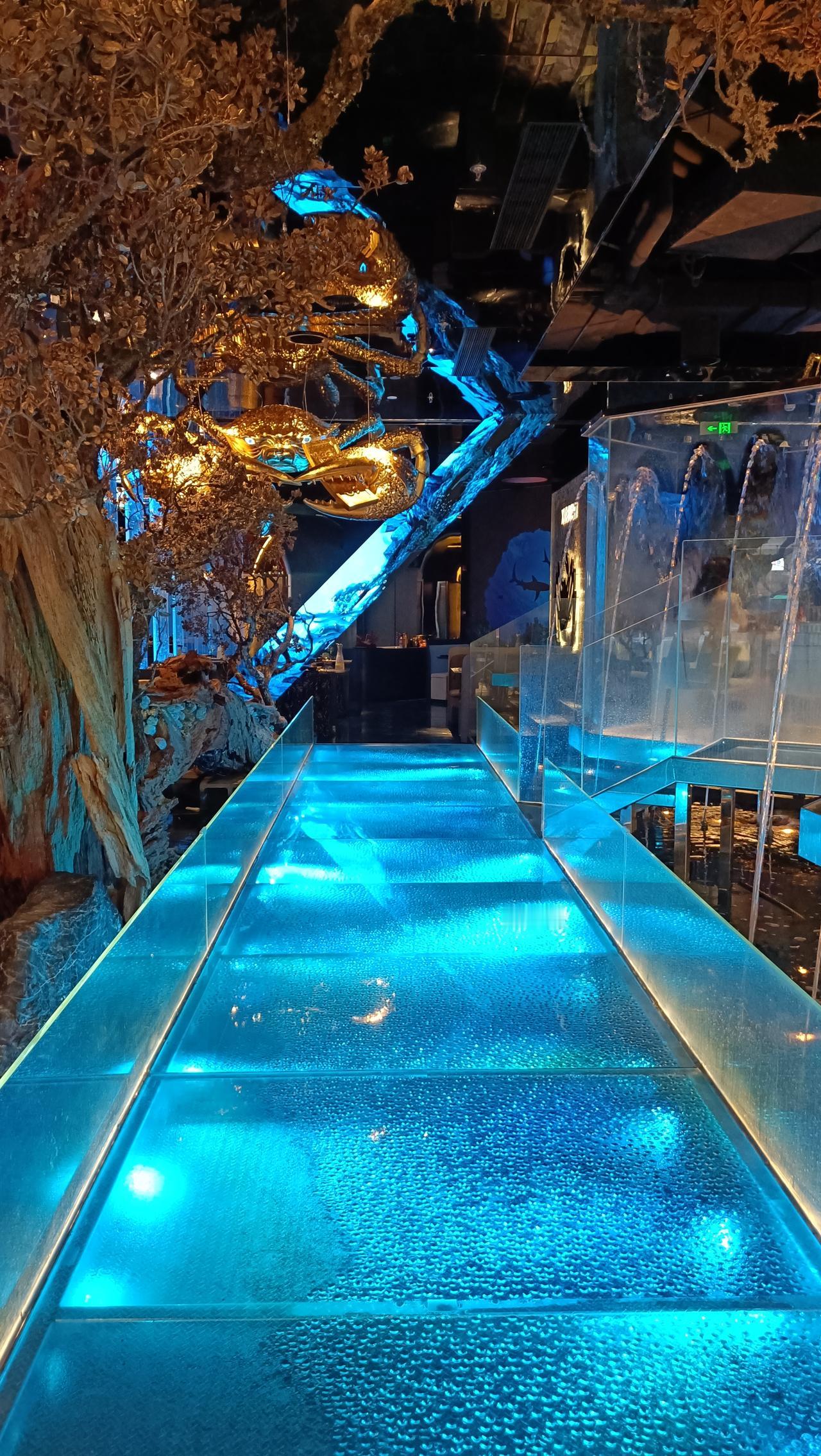 梦幻海底世界，光影交错的奇妙之旅。
上联：月华照水影，
下联：夜色入梦深。