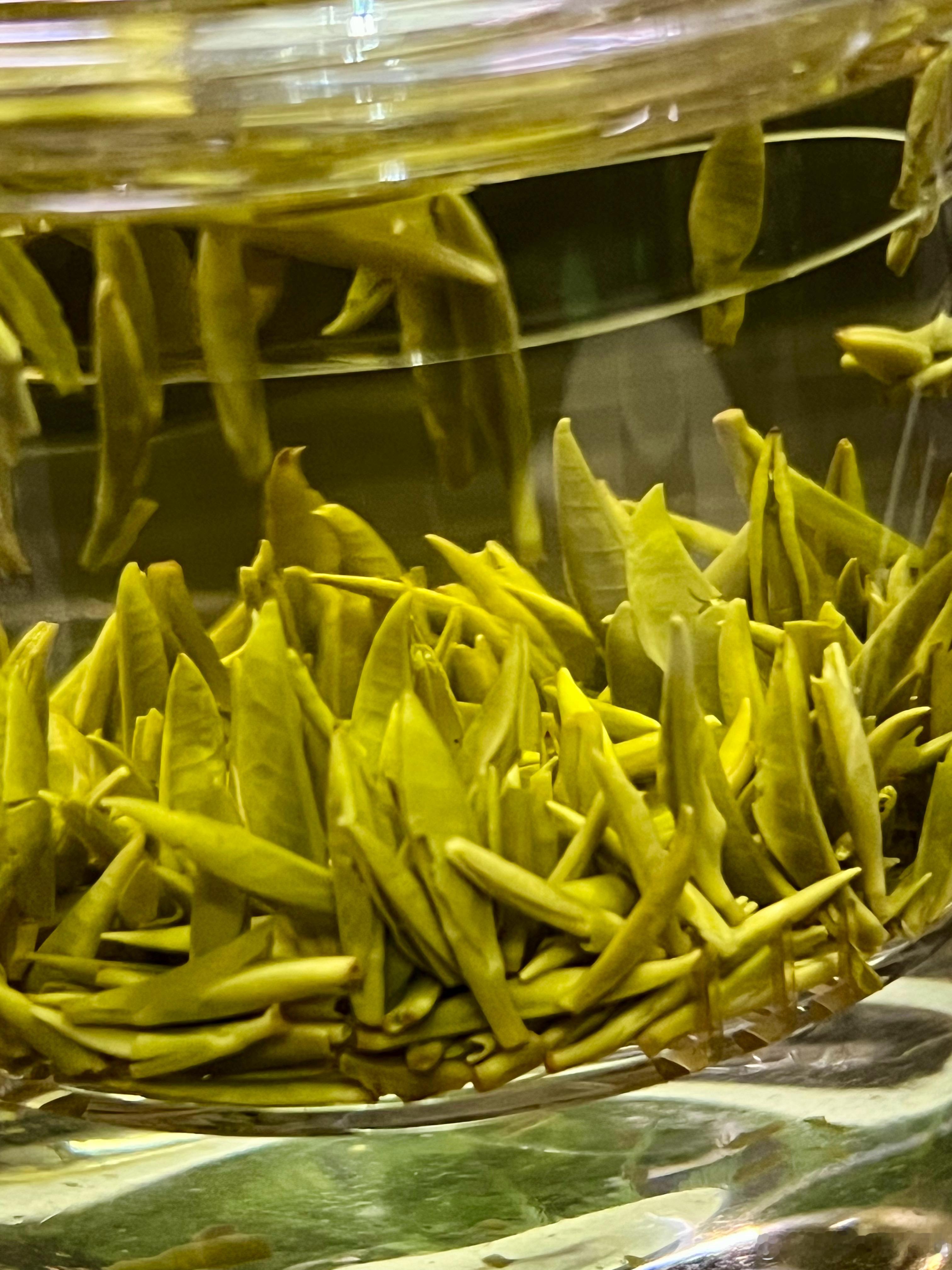茶不过两种姿态，浮、沉；饮茶人不过两种姿势，拿起、放下。人生如茶，沉时坦然，浮时