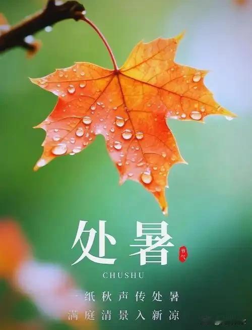明天处暑是“危日”，五个属相要"躲暑"，是指哪5个属相？
 
“处暑无三日，新凉