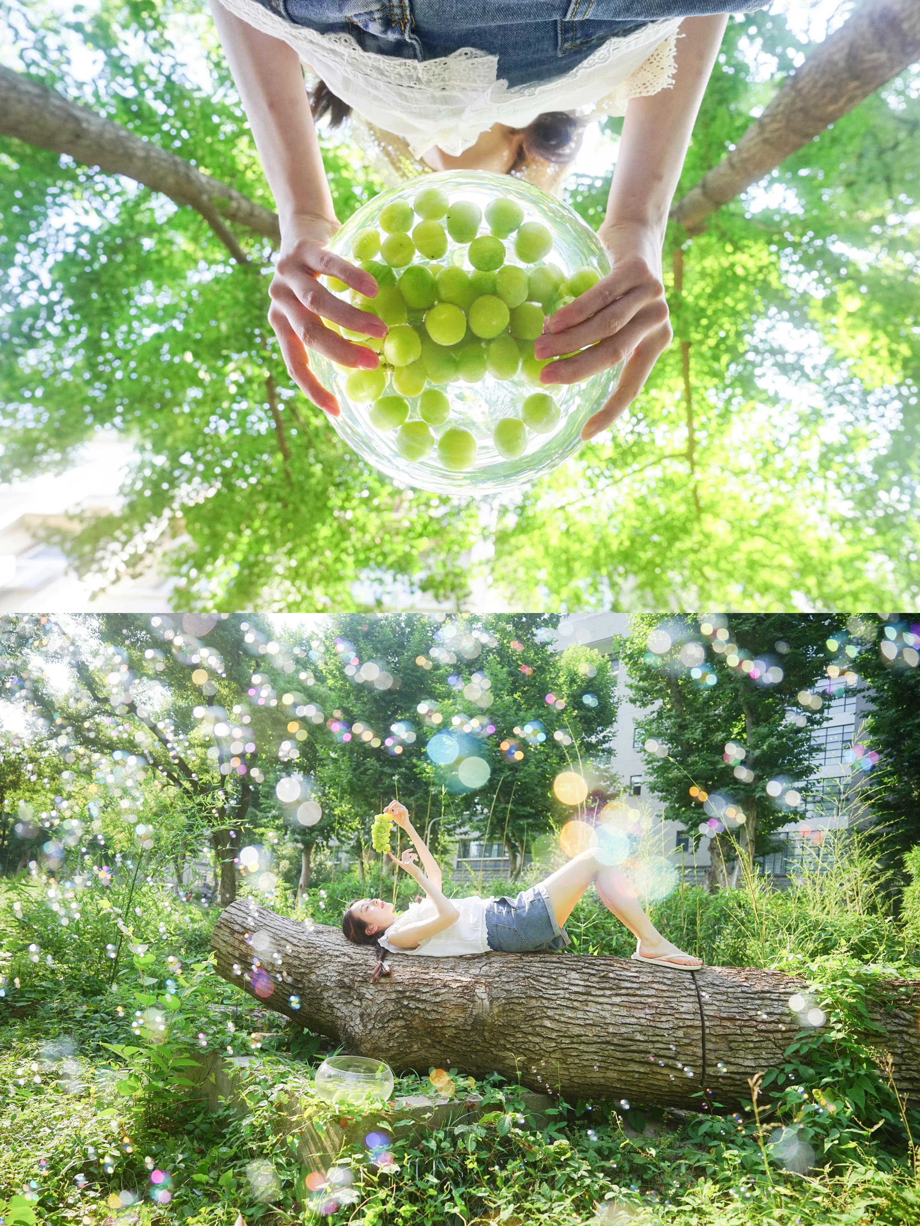 𝑺𝒖𝒎𝒎𝒆𝒓 𝑮𝒓𝒆𝒆𝒏🌿☘️出镜:摄影:​​​