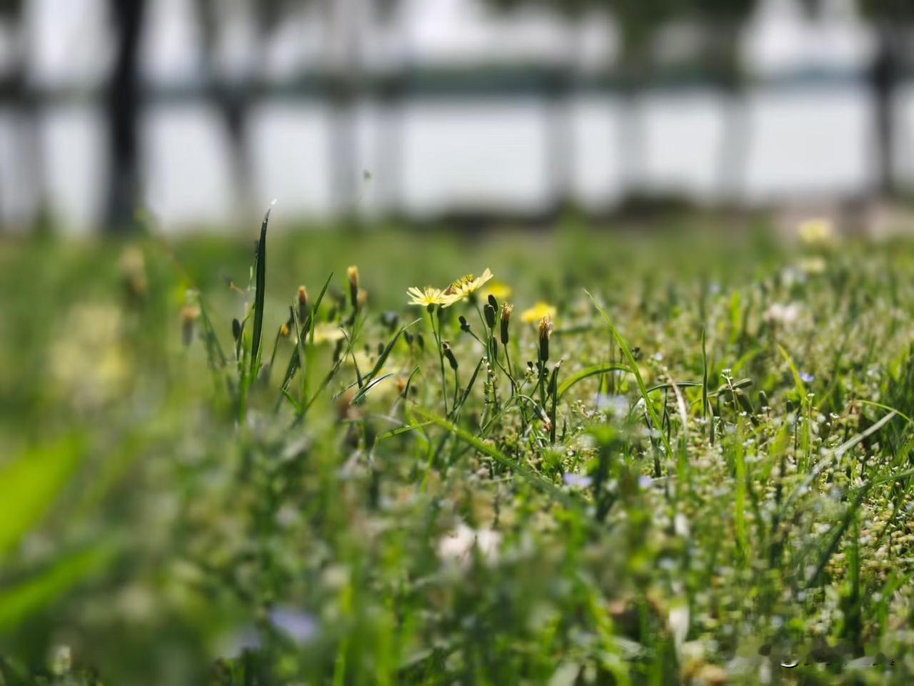 【小对联】
上：交换；
下：……？