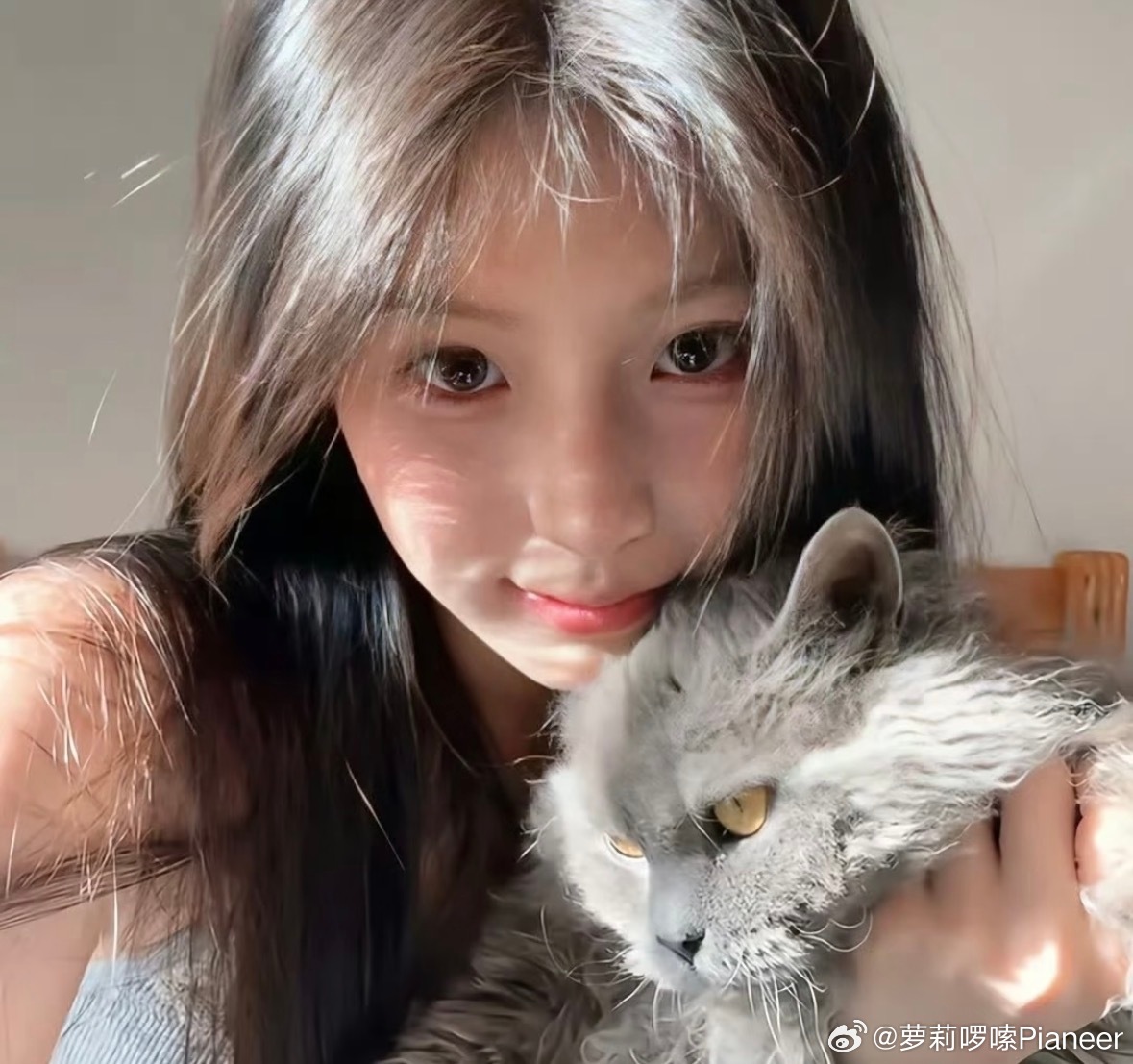 WeChat  |  氛围感女生头像今天你换头像了吗 