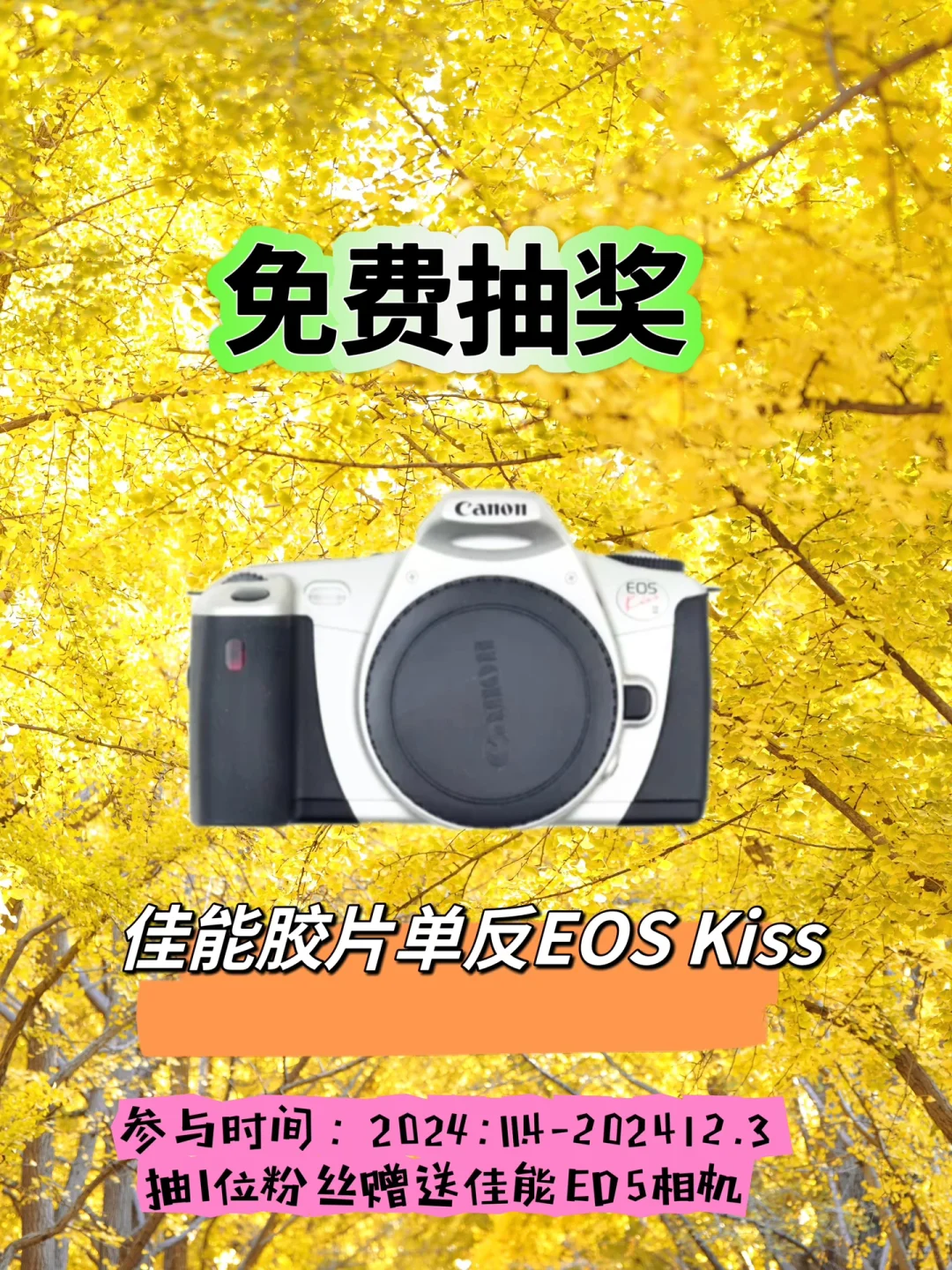 11月宠粉福利‼️佳能相机免费领了啊！