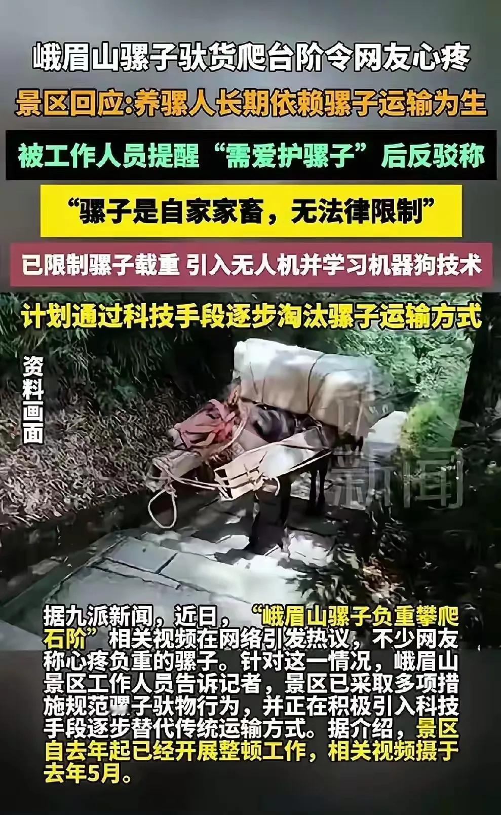峨眉山一则骡子负重搞运输的视频，引来了动物保护协会的监督。景区回应逐步解决，将骡