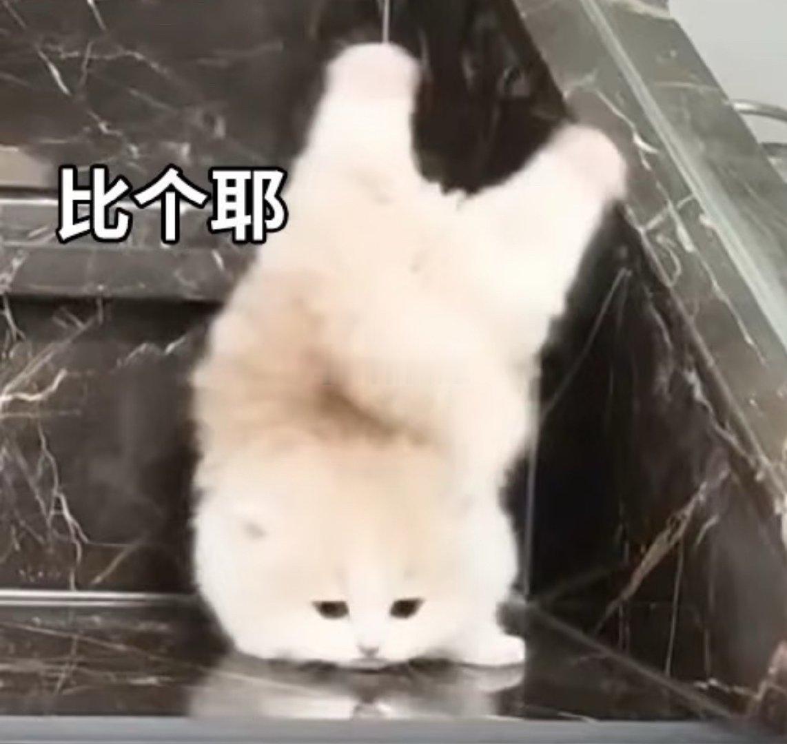 运动坚持第二天今天晚上外面下雨没有出去快走，就在家里慢跑了半个小时记得之前特别喜