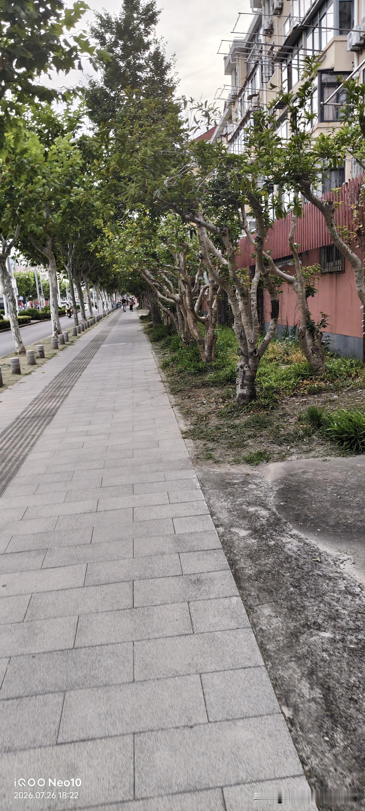 组长说他房间32床的老太太，会走路双手也可管用就是不知道往嘴里吃饭，一天三顿饭都