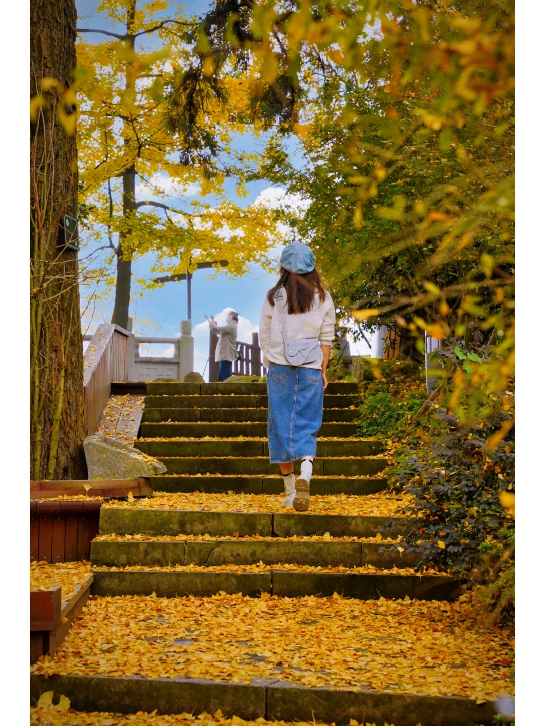 藏在杭州最美寺庙里的百年银杏😭美哭了‼️