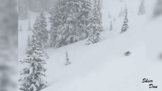 在蘑菇田里摔了后就要承受一连串暴击啊……