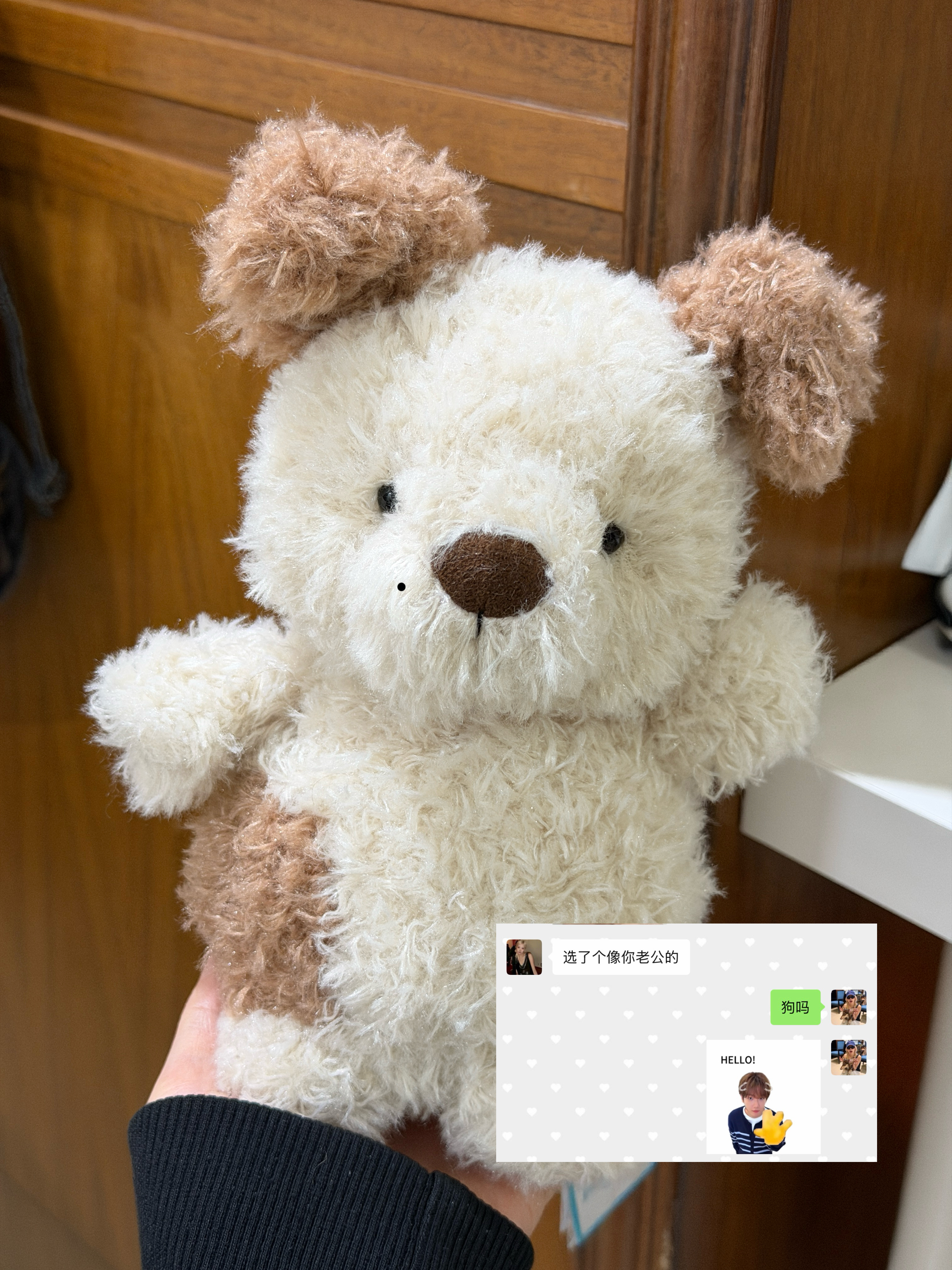 朋友送的生日礼物🥰专门挑了一只像伯贤的小狗玩偶伟大的狗塑！萌晕🤍🤎 