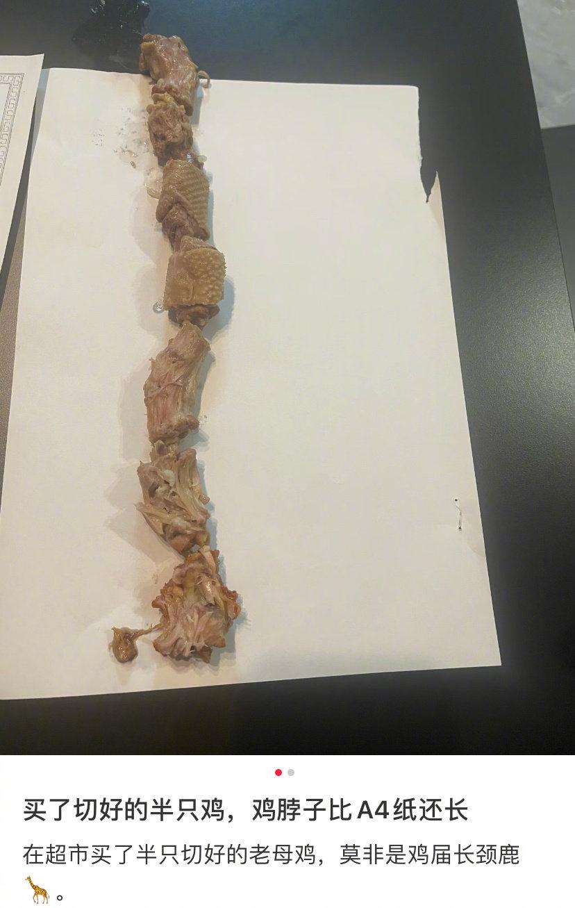 今天在网络上刷到一条有趣的话题“什么鸡，脖子比A4纸还长”起因是网友晒出一张图，