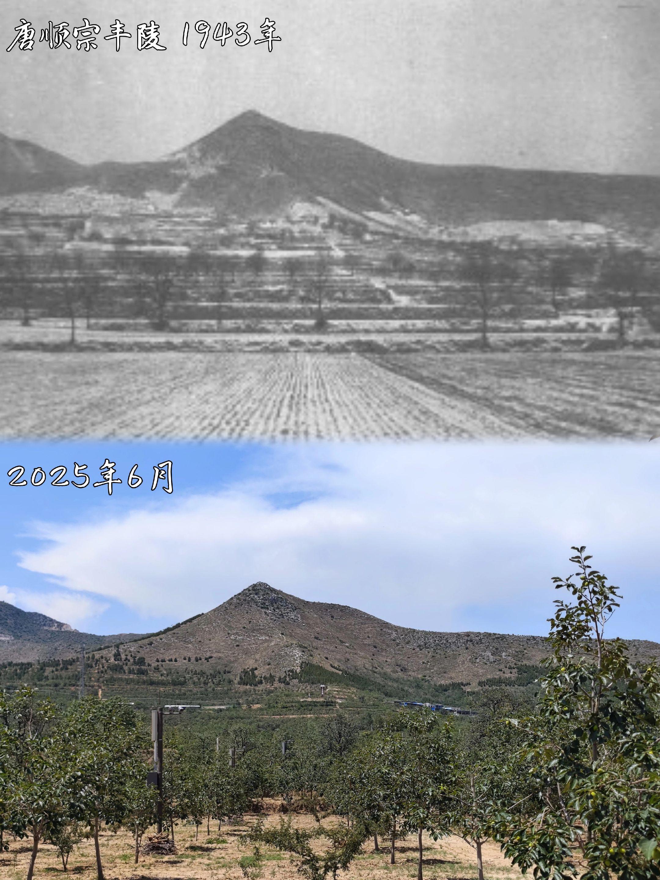 忧国忧民、无能为力的大唐皇帝｜顺宗丰陵。今天丰陵神道上空荡荡、冷冷清清...
