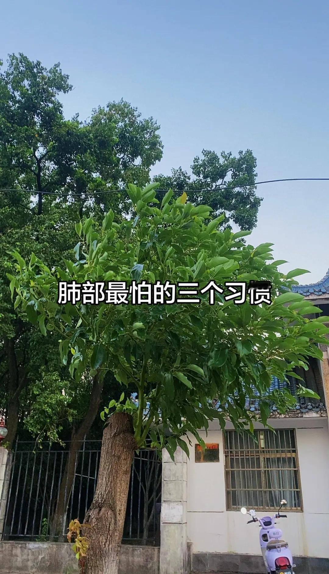 马刺还是太年轻了太大意，关键失误—绝杀不中，马刺主场负尼克斯 大意了