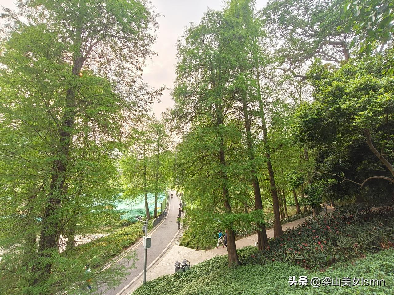 饭，可以不吃，澡，不能不洗。有人说洗澡是刻在两广人DNA的事，其实根源就一个字: