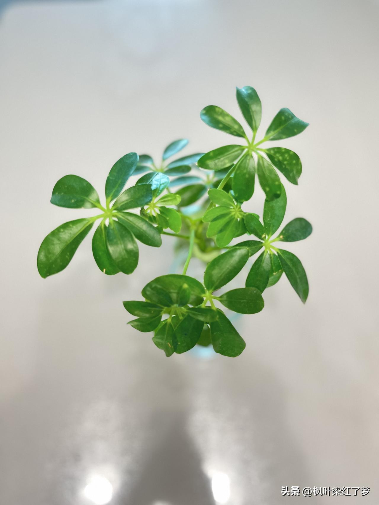 复旦大学钱文忠教授说：“做人，不要去责怪任何人，合得来，好好相处，多多关怀；合不