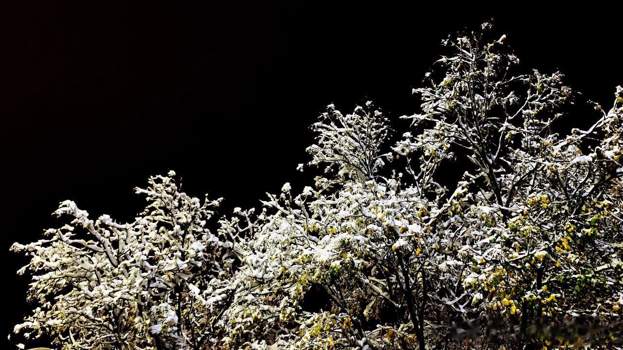 #晒一张手机中最美的雪景照#