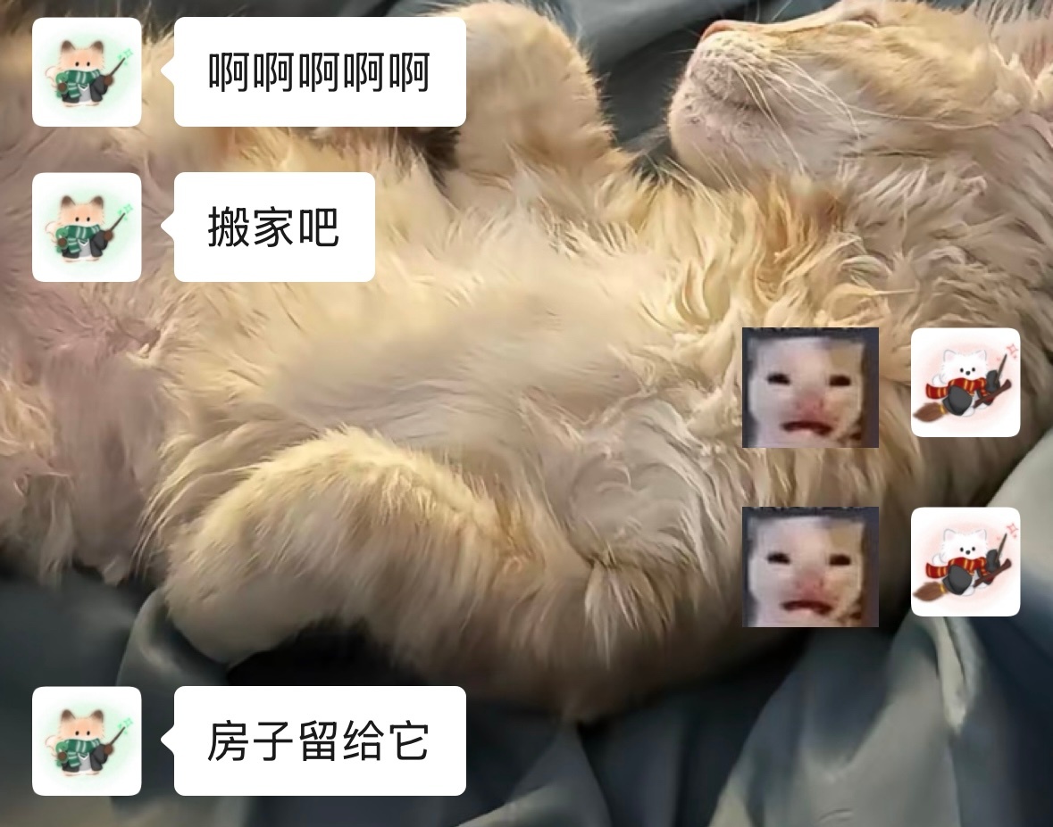 老天爷这就是我的七夕礼物吗 