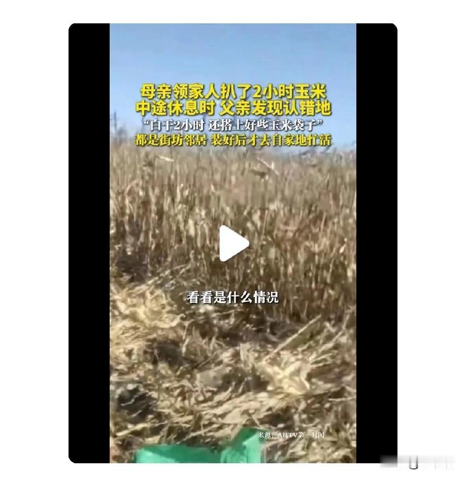 笑不活！全家扒2小时玉米，结果帮邻居干了活😂
 
国庆回老家帮爸妈扒玉米，我妈