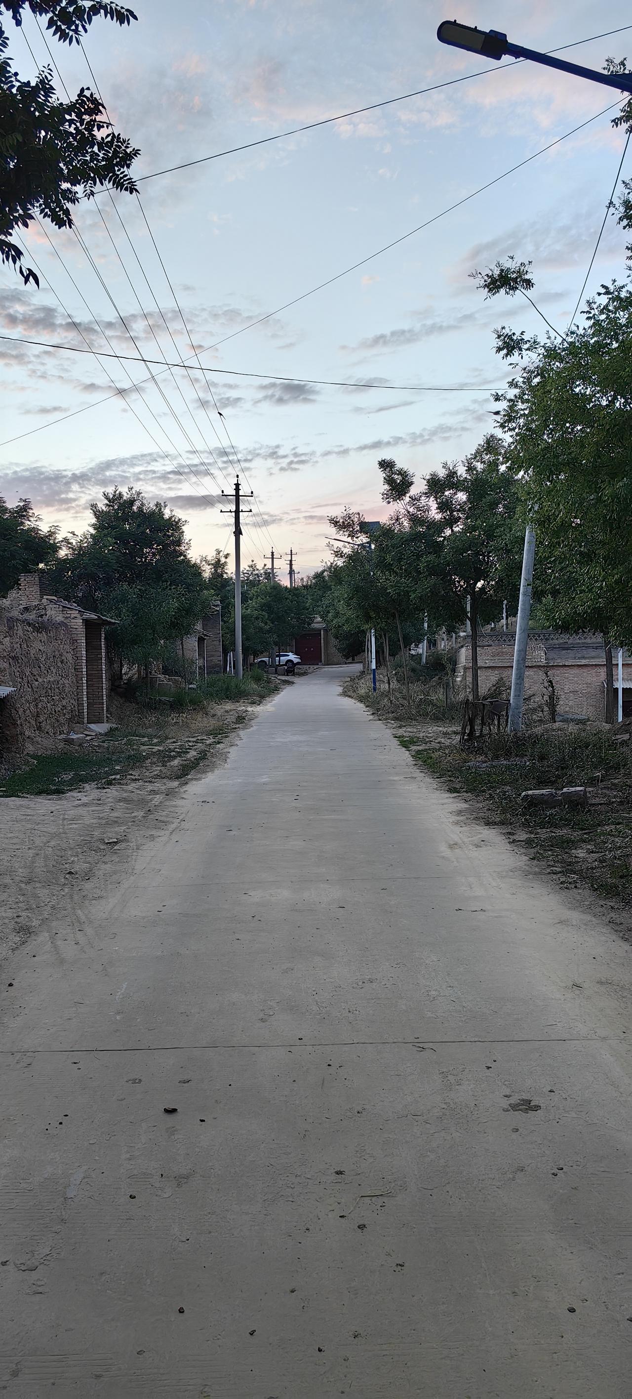 你植在洛河边的柳，如今已亭亭如盖。纤细的柳丝随风飘，恰如送别时你流连的长发。你曾