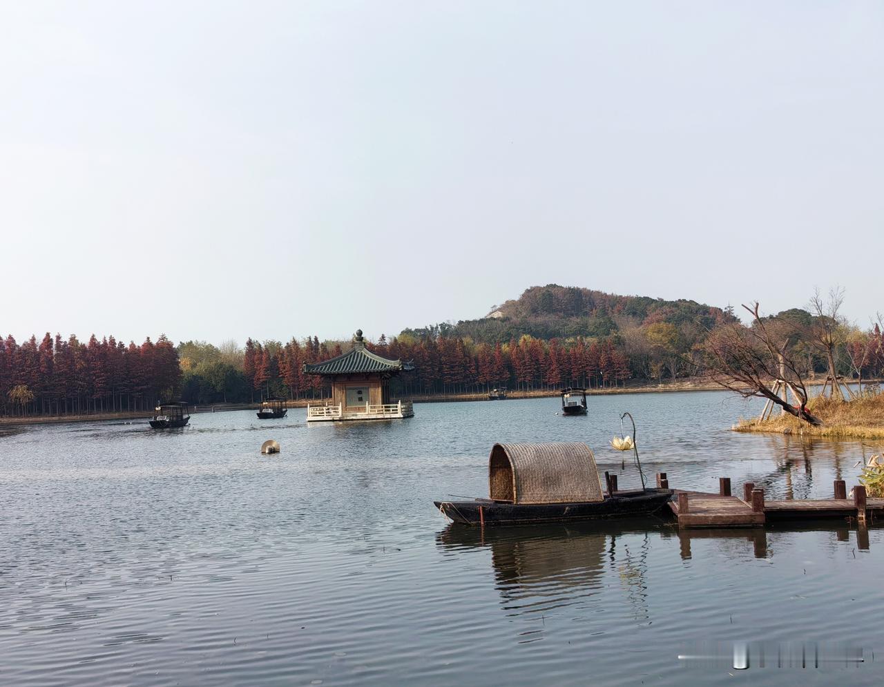 ​冬日的拈花湾有些许萧条，梵天花海的烂漫花朵已不见了踪影。

但所到之处，层林尽