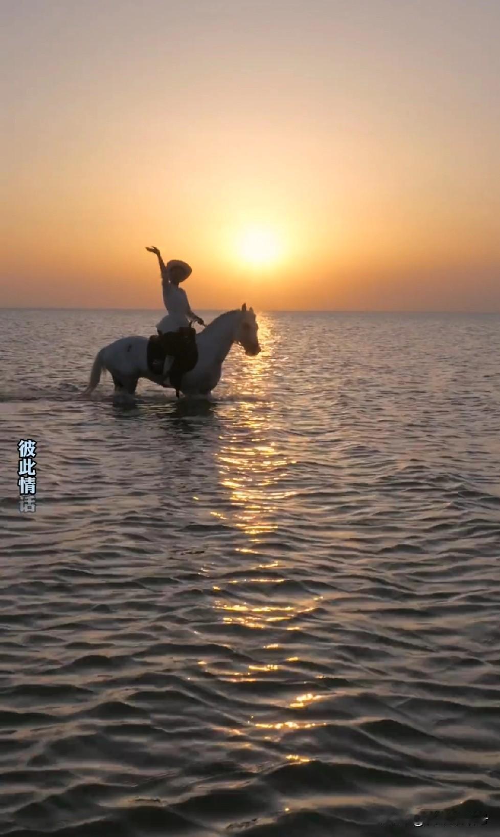 贺娇龙坠马去世你有何感慨贺娇龙同志不幸离世，年仅47岁。她的坚持从未放缓，马背上