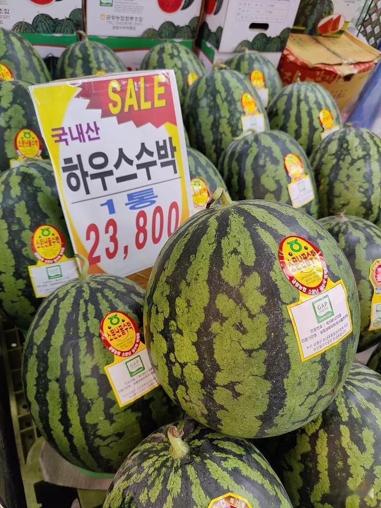 国内西瓜价差明显，河南开封、商丘产区上市季，地头价低至一两毛一斤，市面零售价最高