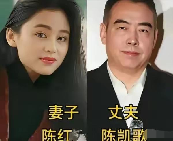 这几组导演与演员夫妻，是影视圈难得的匠心组合。陈凯歌与陈红，一位手握镜头书写山河