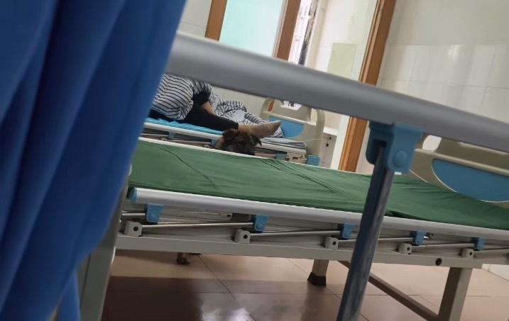 小狗家属来探望住院的主人[抱一抱]遇见春天春日放个疯 ​​​