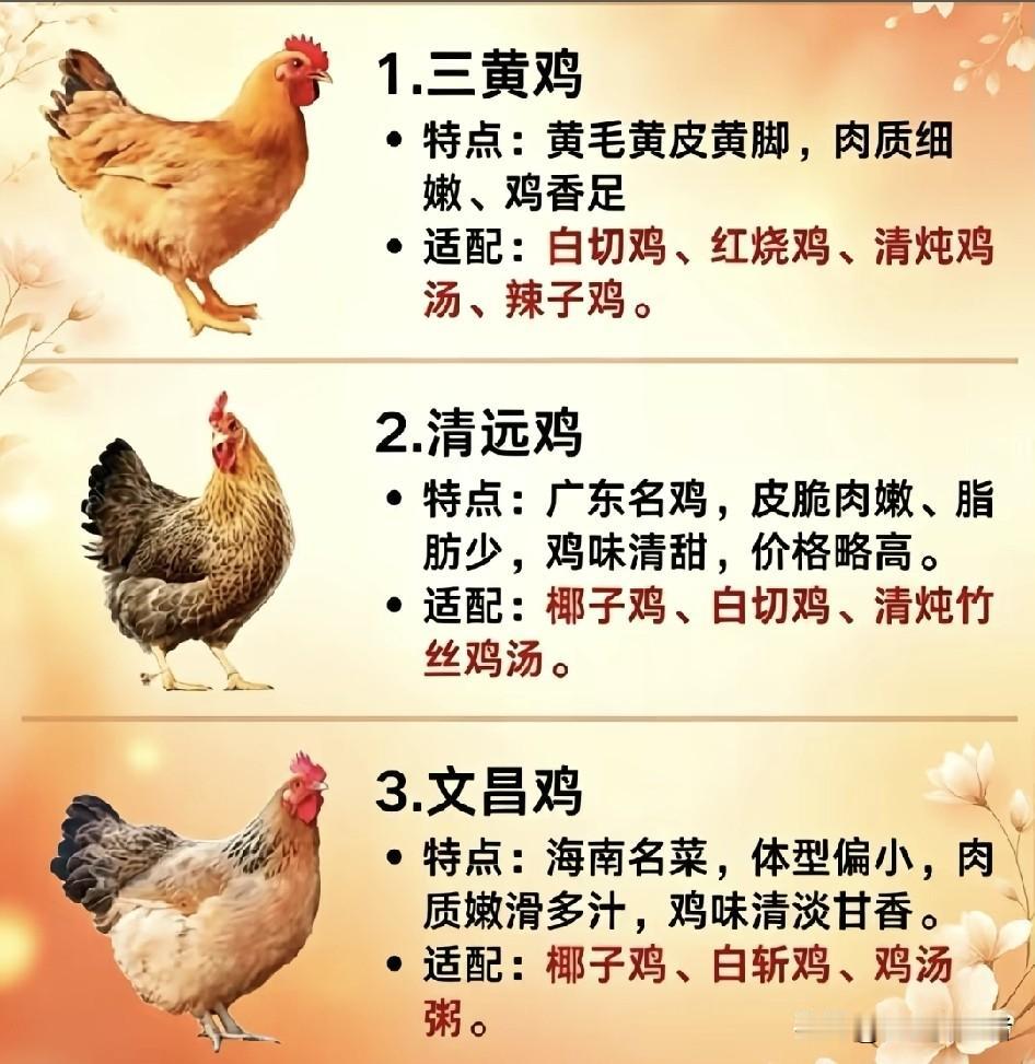 别划走，这篇关于全中国最好吃的鸡的干货，我敢说你刷完下次出差旅游找鸡吃，直接照着