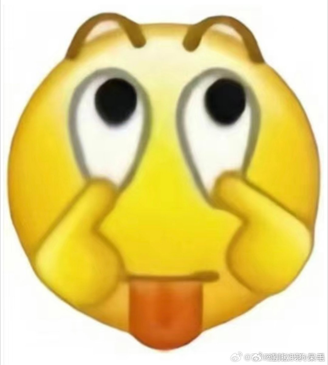 嗯嗯嗯嗯我收拾好行李了 