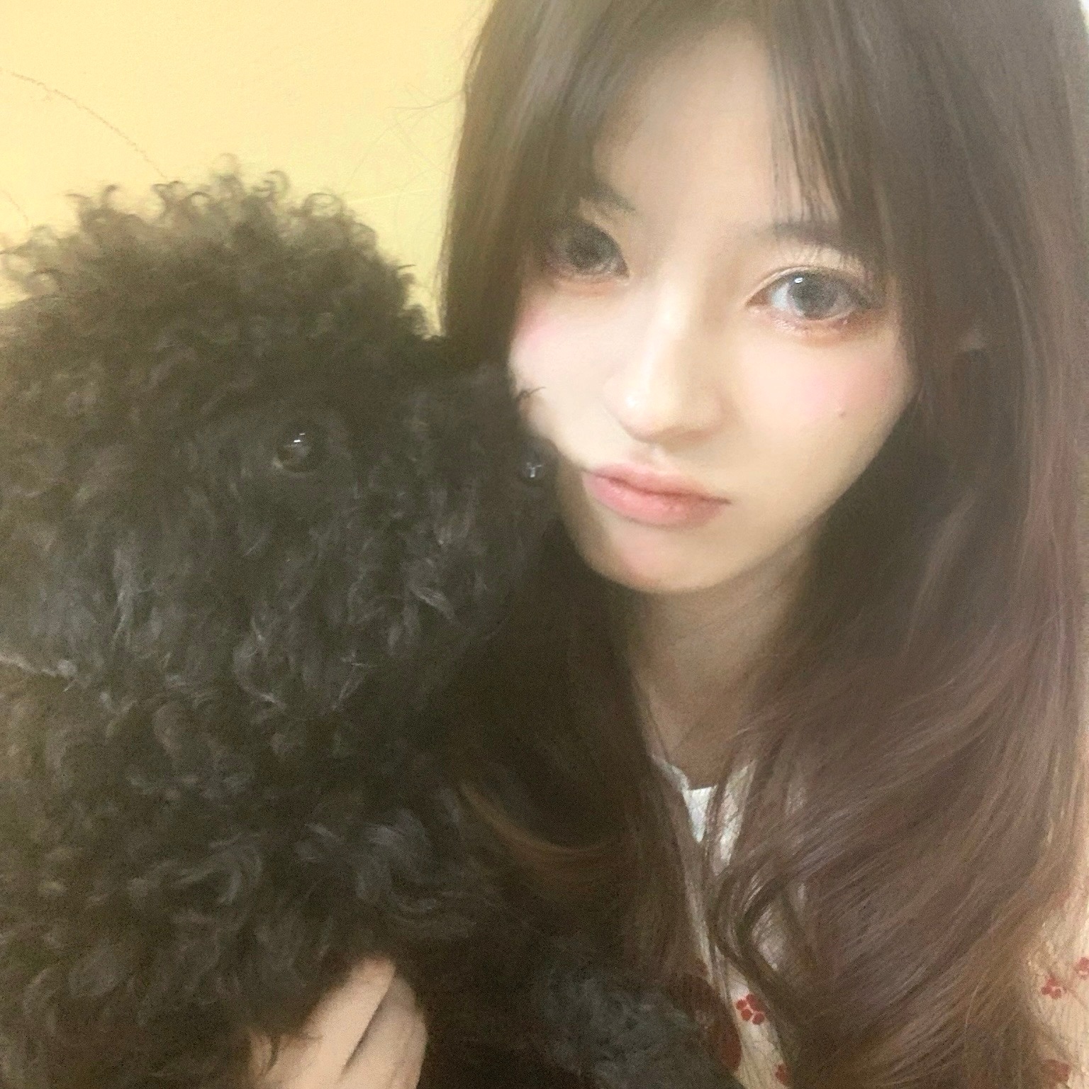 分享图片 ​​​