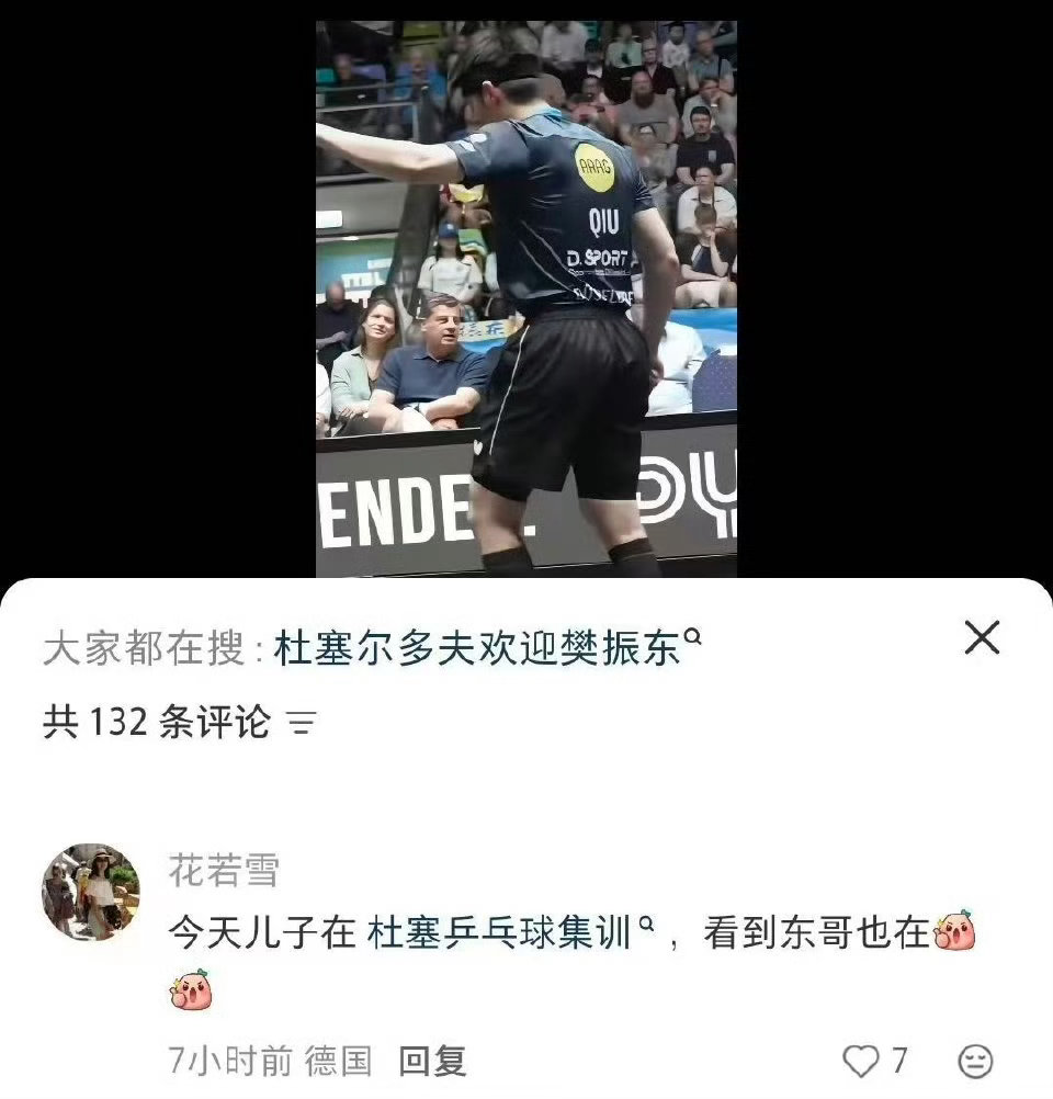 樊振东已到杜塞尔多夫训练我的宝贝太勤奋刻苦了刚赢下比赛马不停蹄又去杜塞尔多夫训练