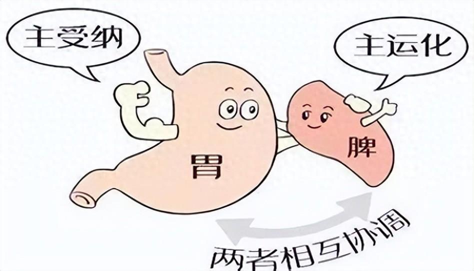 脾胃不好，用脾胃派开山鼻祖的经典方，从根上把脾胃养起来
内容仅供参考，如有不适请