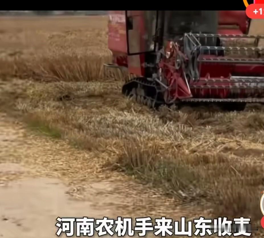 河南农机手来山东收麦子，村民在田间都安排好了接风宴，有鸡有鱼 6 个菜，感叹到，