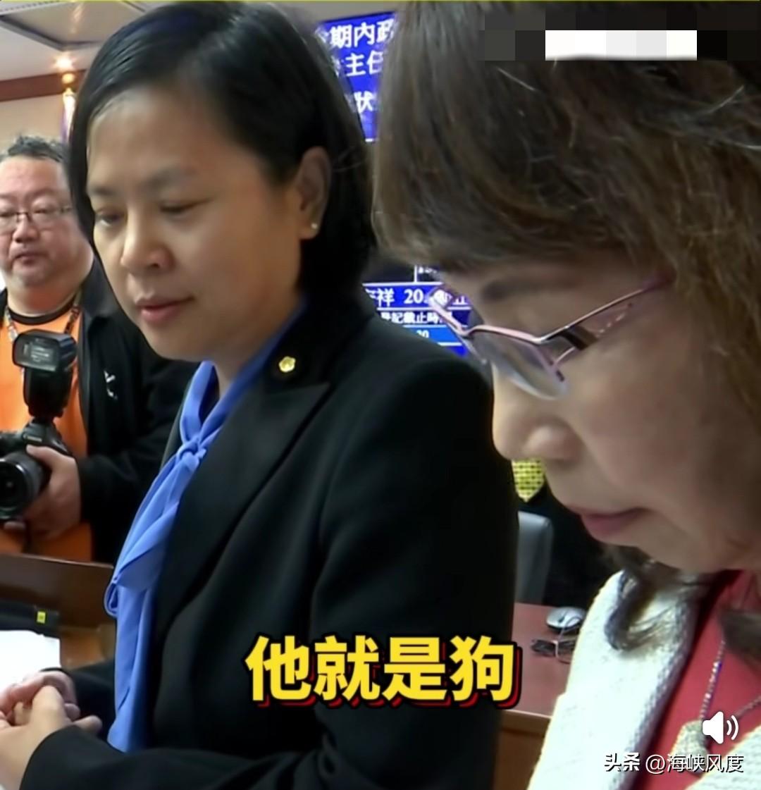 钟小平呛李贞秀，有陆配成功放弃了“国籍”，你咋做不到？李贞秀说钟小平是狗，不是人