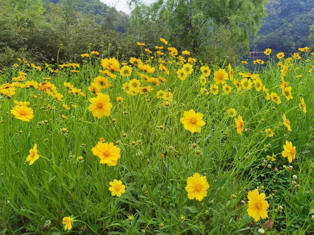 繁星点点