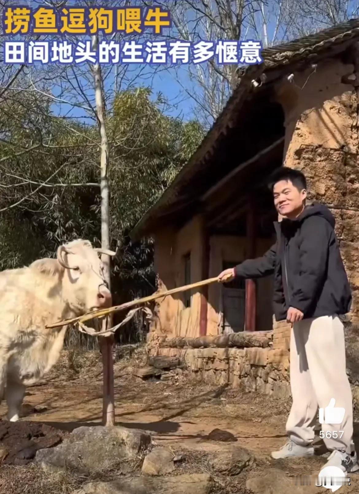 没想到董宇辉过个年，第3次上热搜了！


董宇辉回陕西老家过年，跟村里的小狗、老