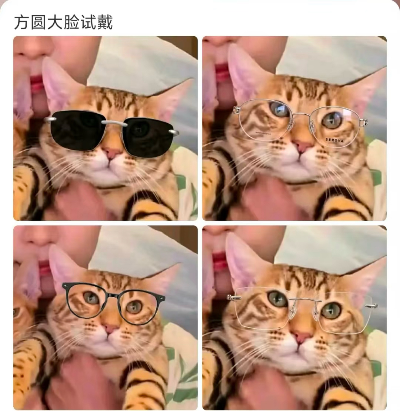 你别说，重塑这墨镜很潮啊