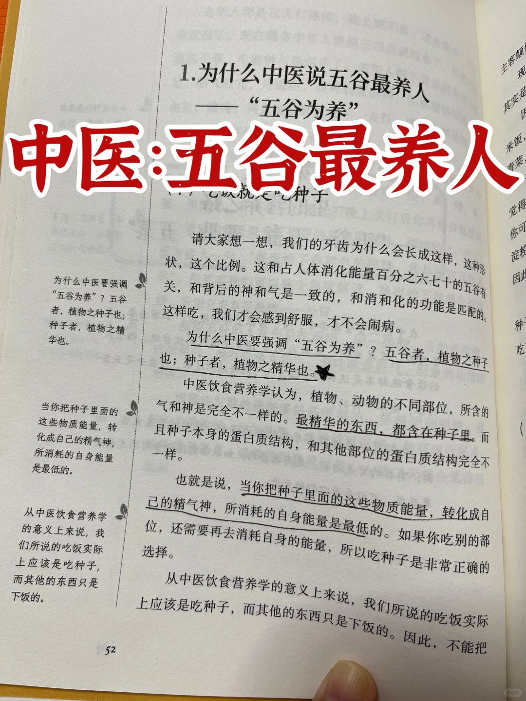 《黄帝内经》：为什么🀄️医说五谷最养人