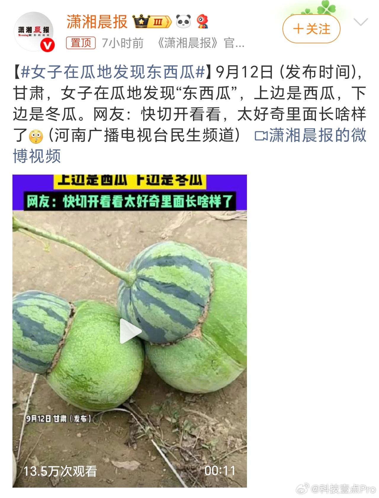 女子在瓜地发现东西瓜点开话题前：什么乱七八糟的话题，还东西瓜点开话题后：我去，话