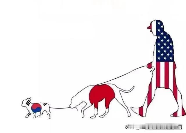 日本和韩国，因为都是美国的小弟，所以对中国总是抱持某种恶意。

当然，他们也得不