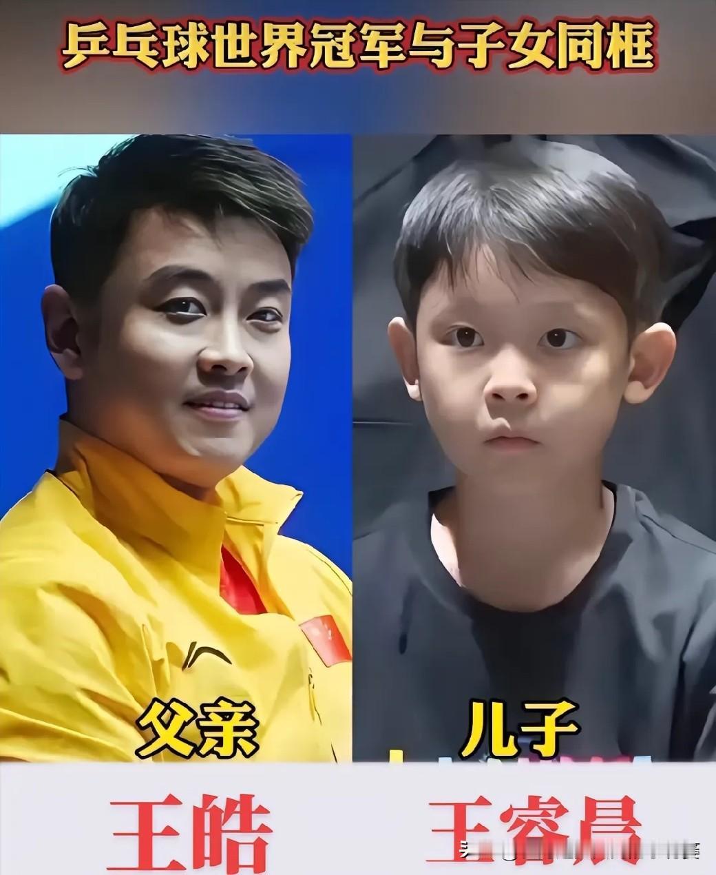 赛场上，他们是叱咤风云的国乒冠军，
为国征战，拿下无数荣誉。
走下赛场回到家里，