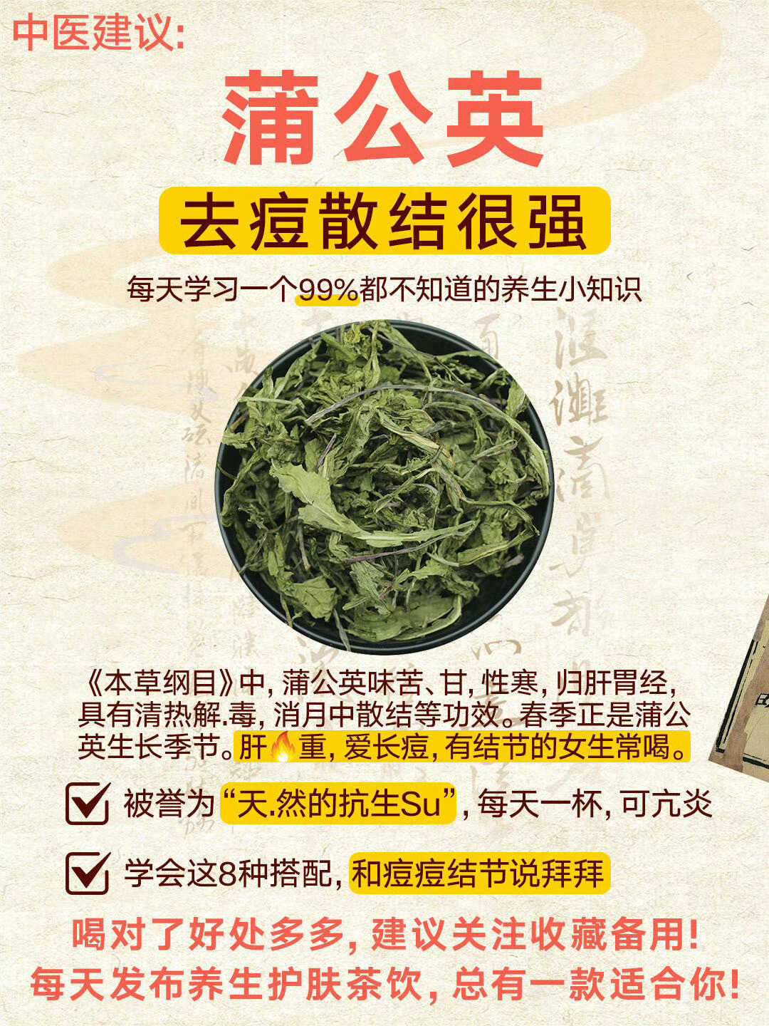 99%的人不知道！蒲公英消炎祛火散结，擅长消乳痈（乳腺结节，乳腺增生）国医的精诚