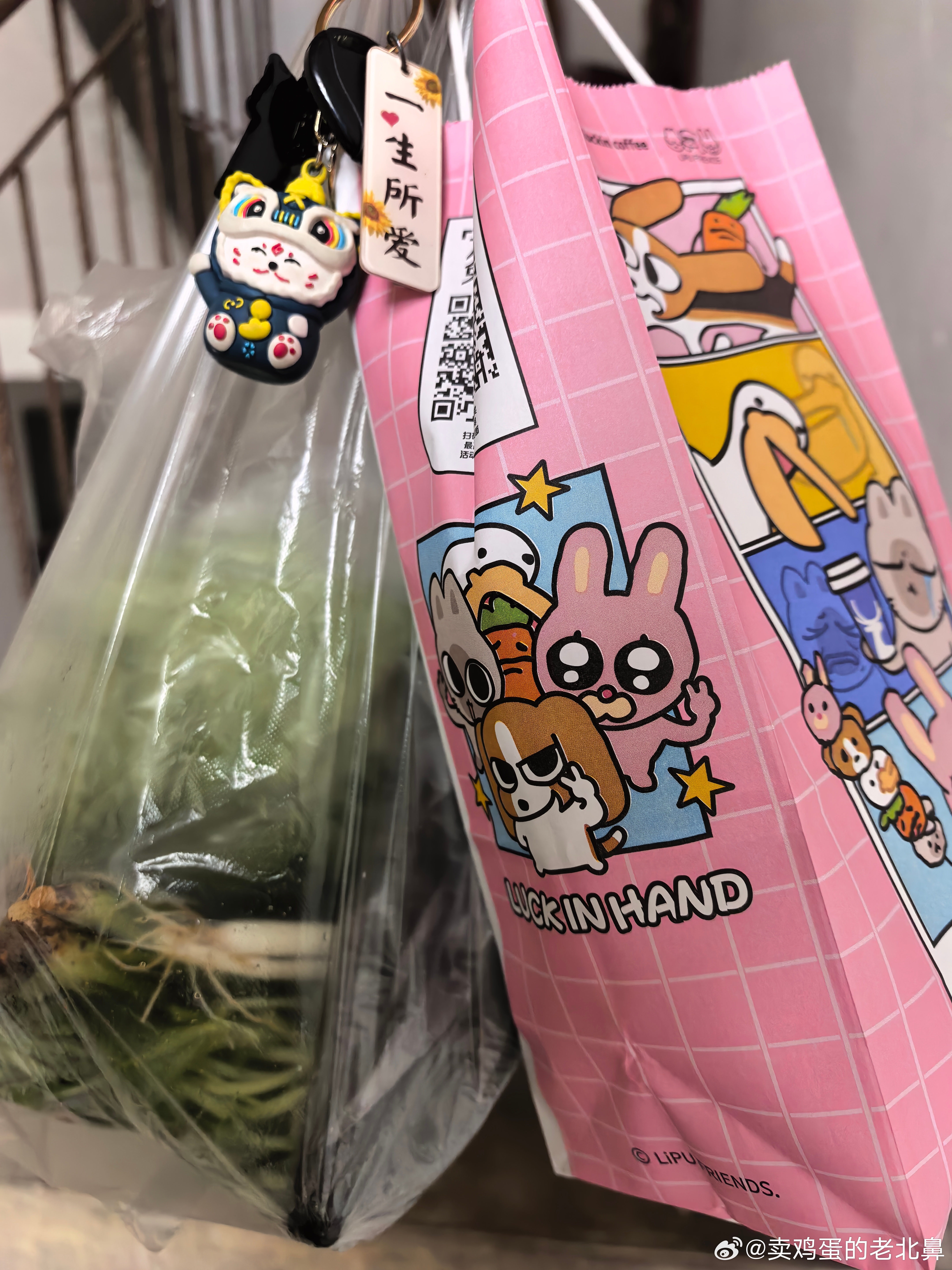 我已经习惯了中午大儿回来。开门第一句话就是。又背着我偷喝。别忘了你欠我一杯咖啡。