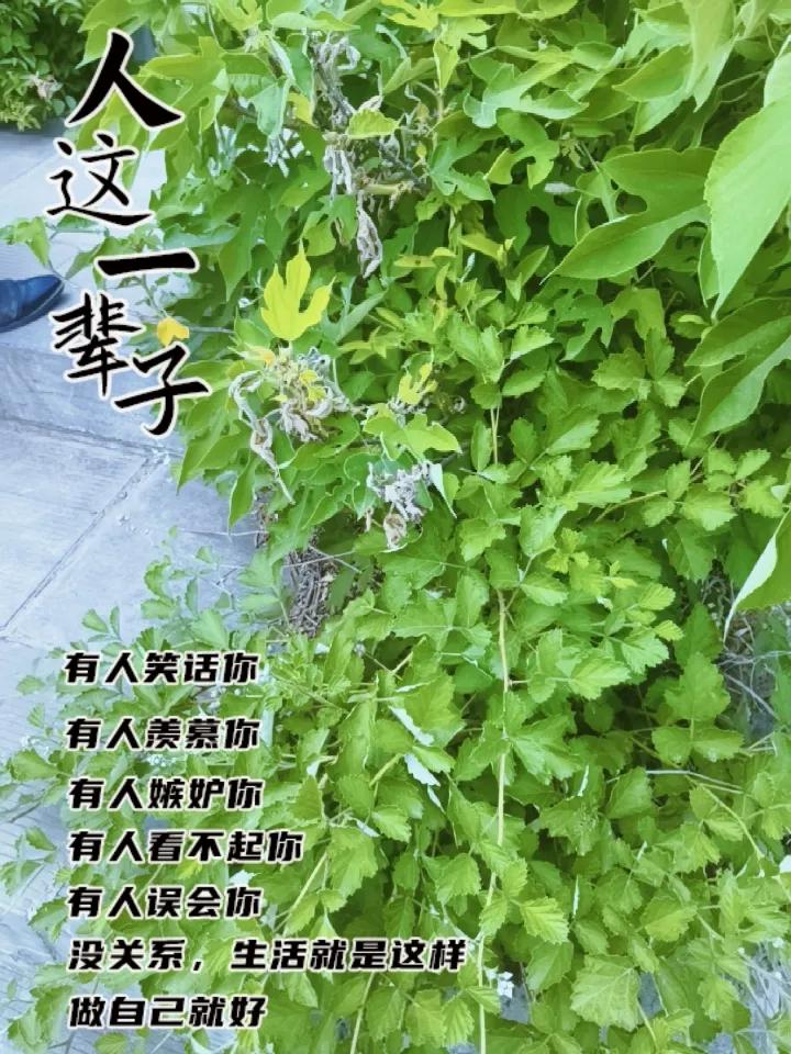 晒图笔记大赛