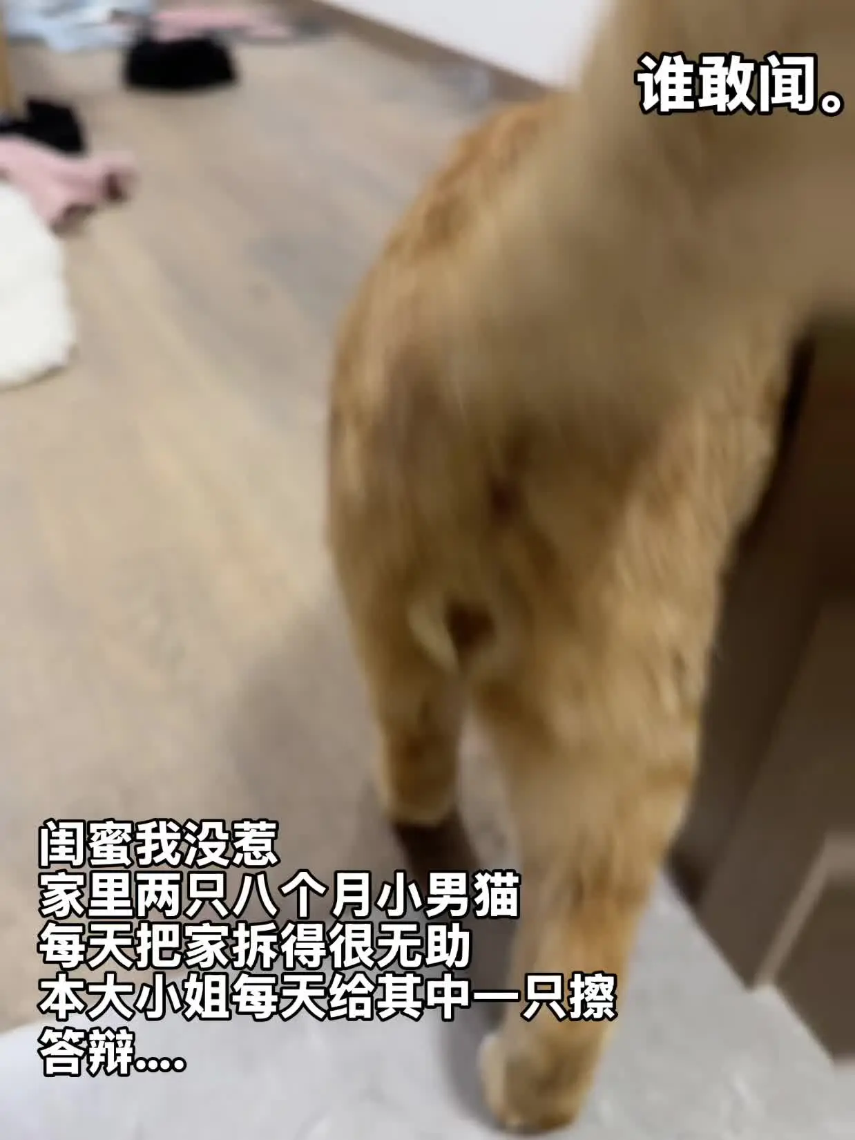 答辩都是爱心 很爱妈妈的小宝宝