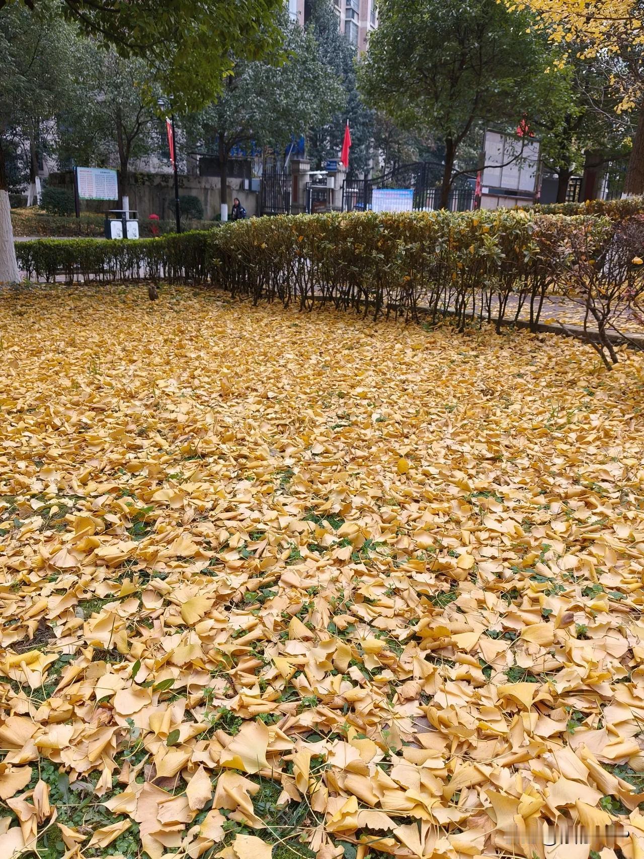 祝粉丝2025新年大吉