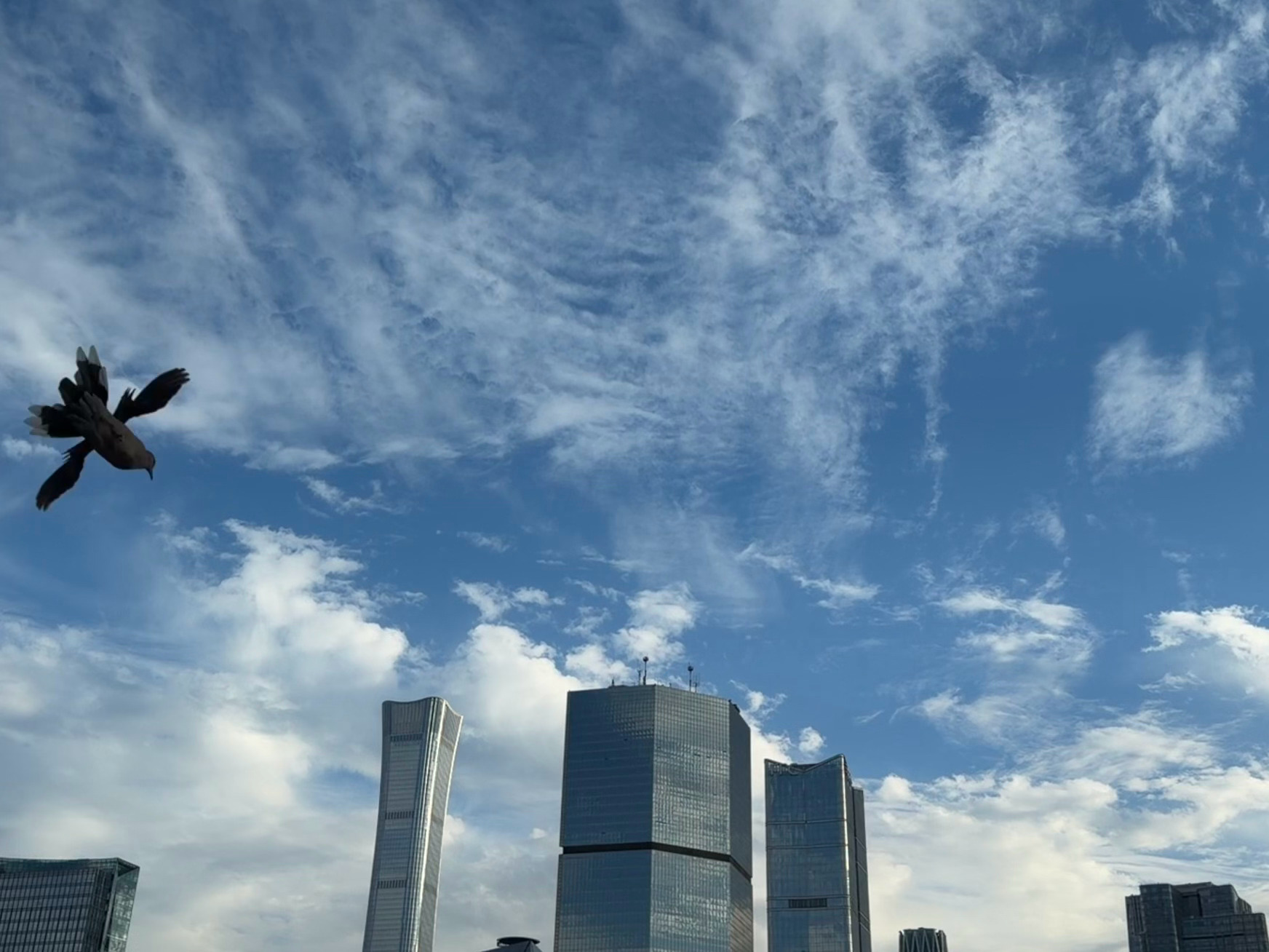 被治愈的蓝天☁️ ​​​