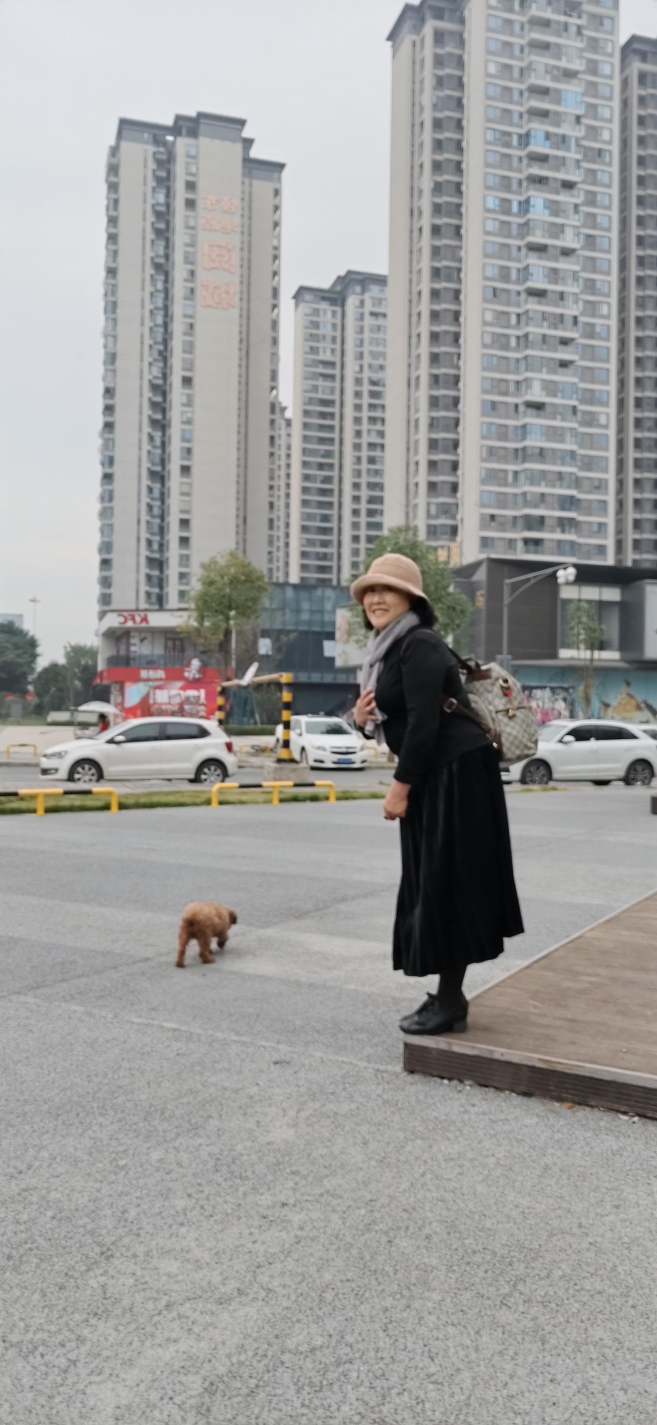 紧急知询，我家狗狗三天都不吃不喝，在屋子里来来去去，十分难受的样子？是不是要死了