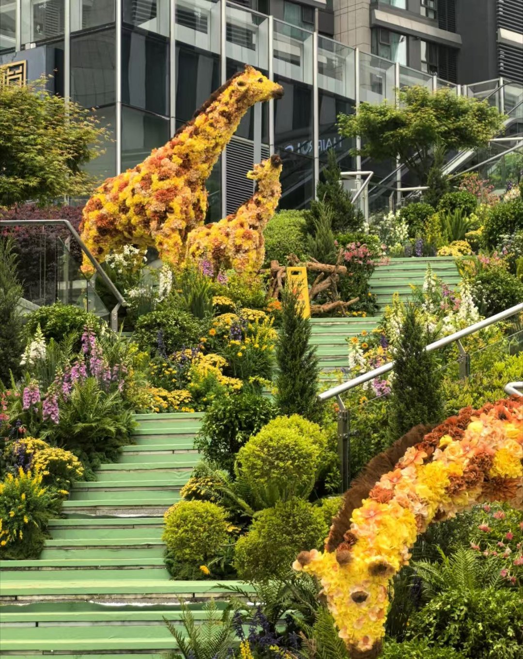 花展最全打卡指南来了 每走一步都好似让我们大家身临其境，一般进入到了这种花镜当中